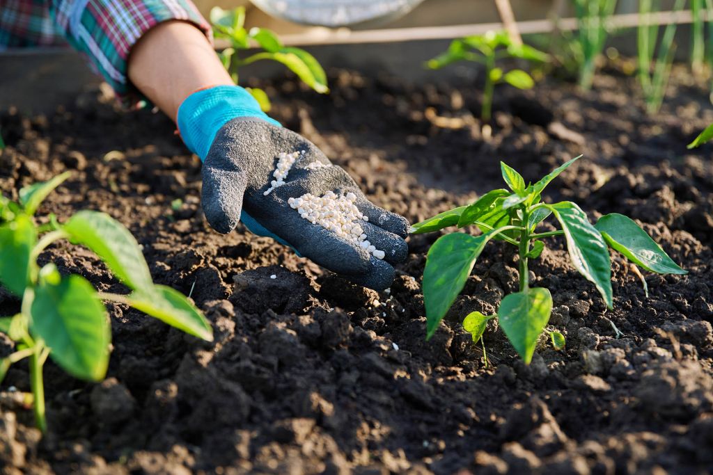 Acercamiento de mano fertilizando campo - Anacofer