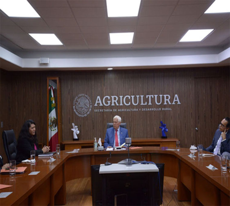 Creando sinergias para el futuro de la agricultura mexicana