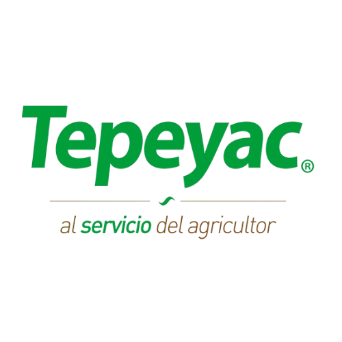 LOGO_TEPEYAC - Anacofer