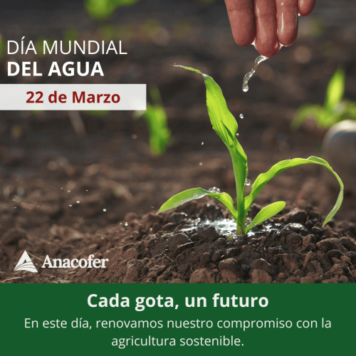 DIA MUNDIAL DEL AGUA