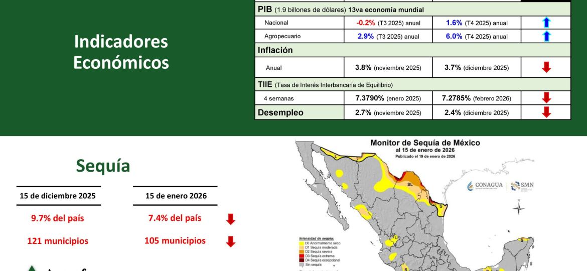 AgroIndicadores de ANACOFER (febrero 2026)_04